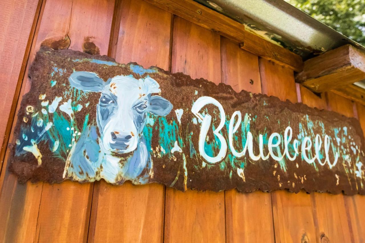 Peace Corner Cottages Dullstroom Dış mekan fotoğraf